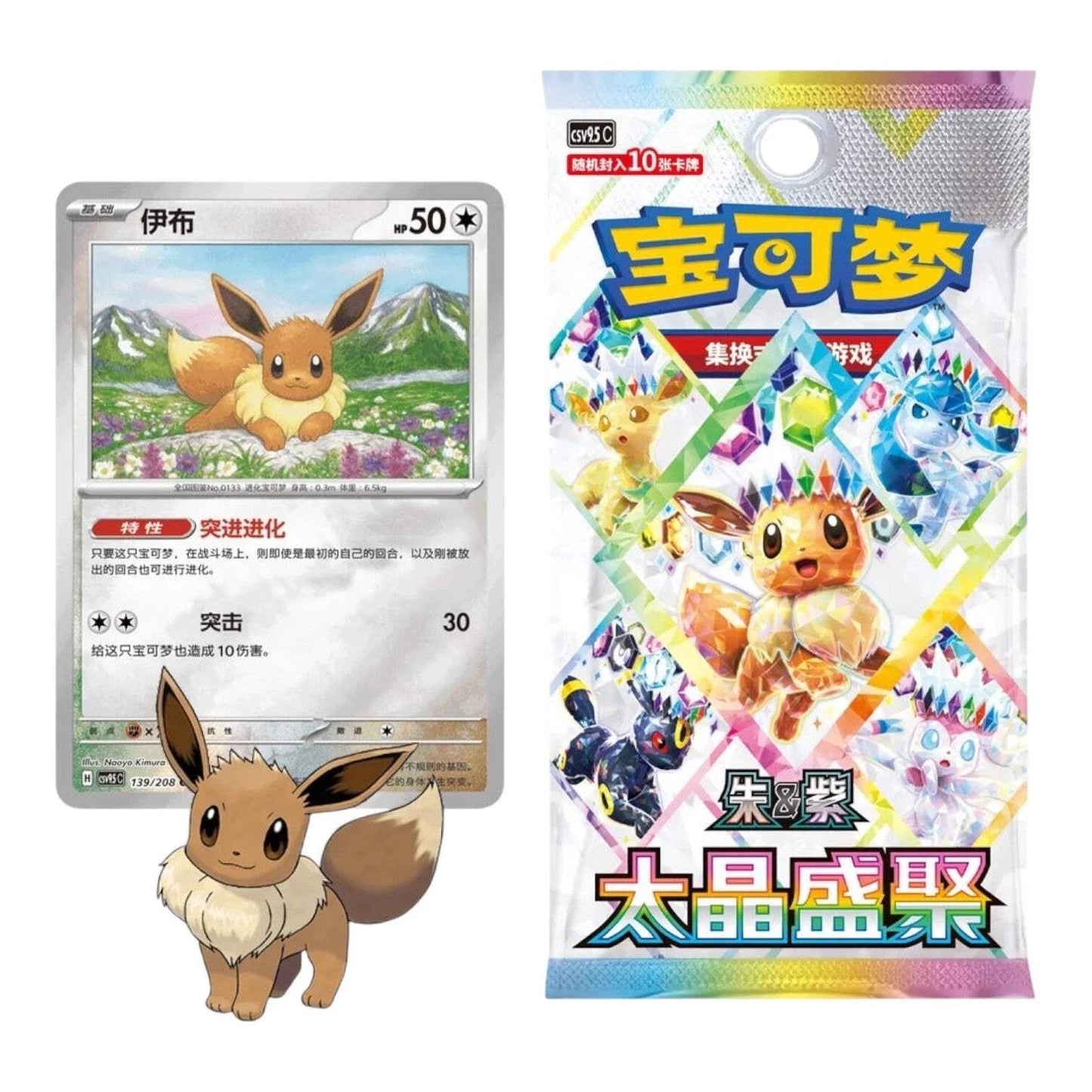 Pokémon TCG: Terastal Grand Gathering Eevee Coin Set
